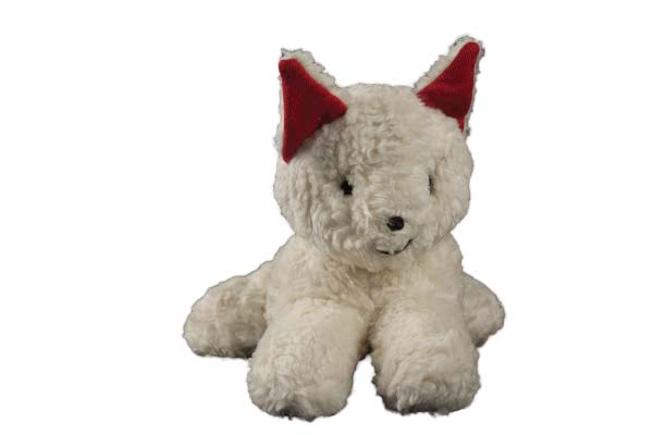 Katze Minky natur