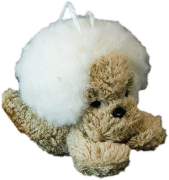 Löwenbaby
