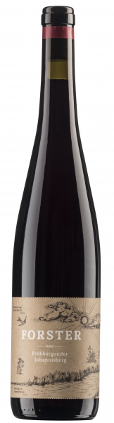 Forster Frühburgunder Rotwein Burg Layer Johannisberg 2022, 750ml, Bio, Vegan
