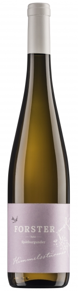 Forster Himmelstürmer, Spätburgunder Blanc de Noir 2023, 750ml, Bio, Vegan